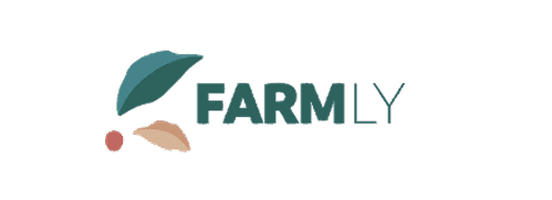 Cliente EAZZY Agency 13